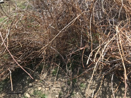 +I+phD26Rw+PckxKkBX1lg