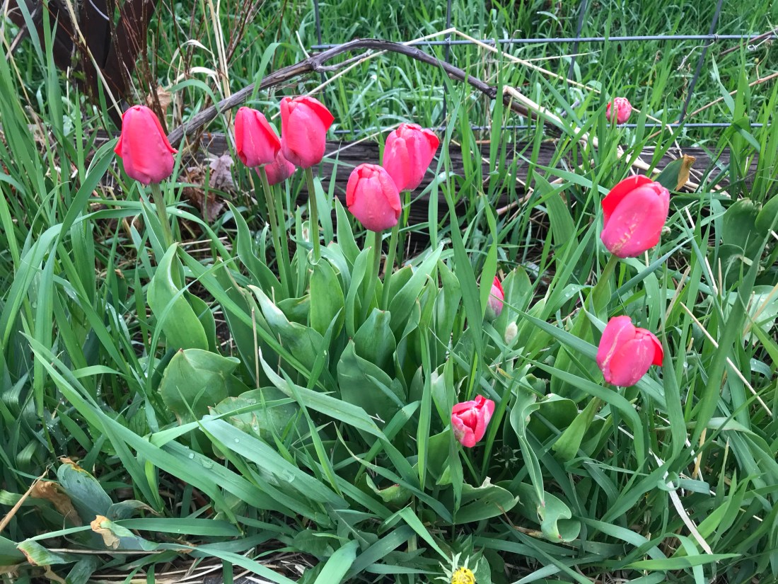 1FZ0M6ryQ4OJXOWWMkOnzg